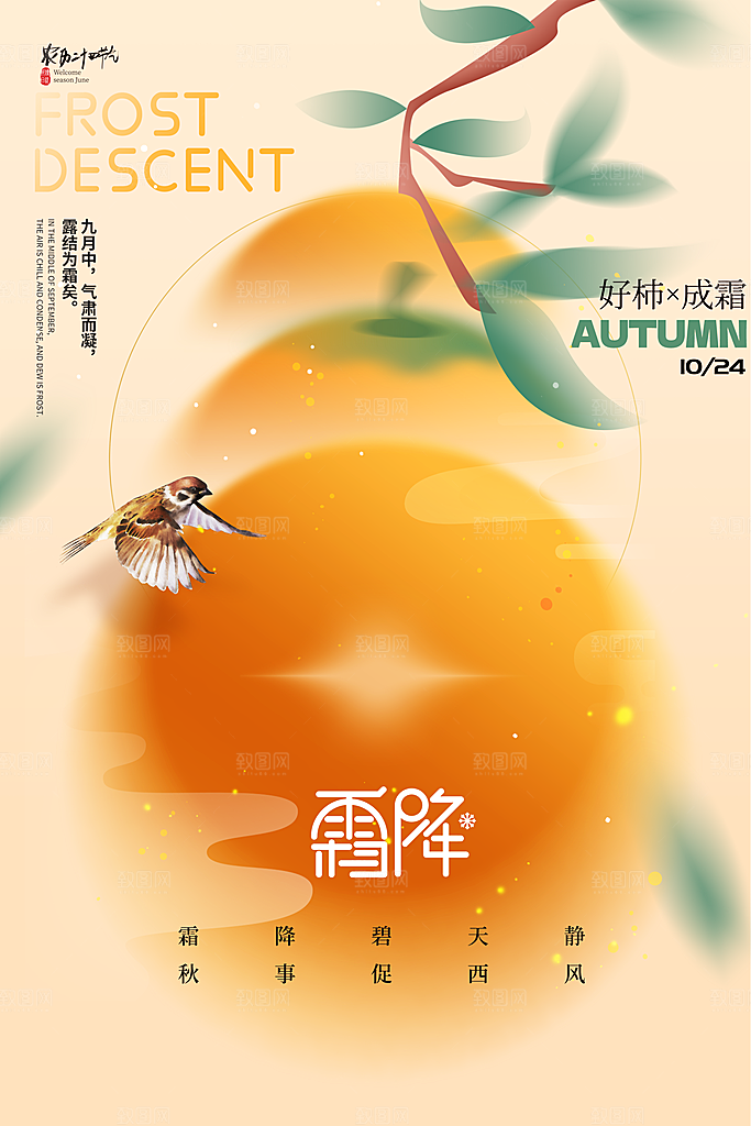霜降节气简约大气海报