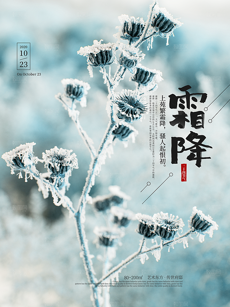 霜降节气简约大气海报