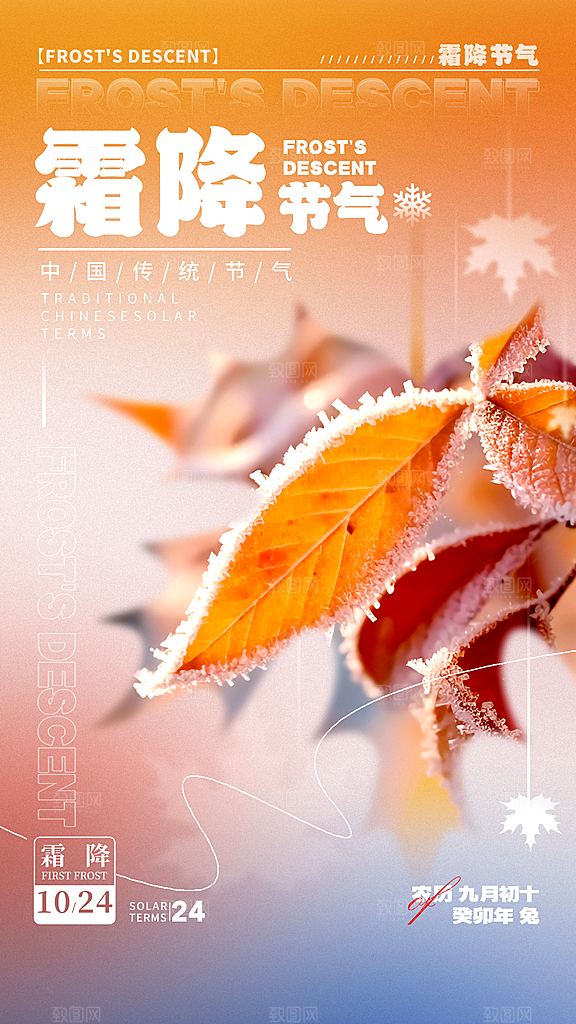 霜降节气简约大气海报