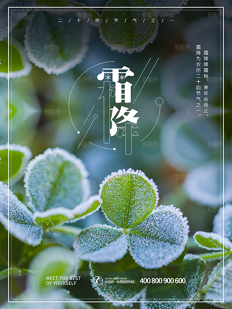 霜降节气简约大气海报