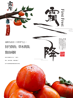 霜降节气简约大气海报