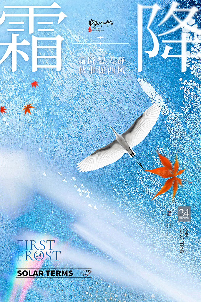 霜降节气简约大气海报