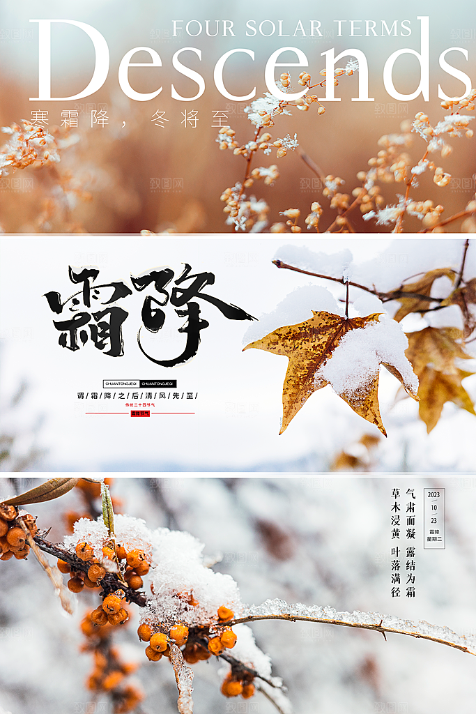 霜降节气简约大气海报