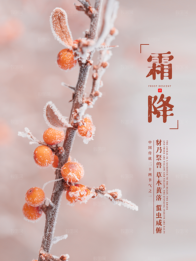 霜降节气简约大气海报