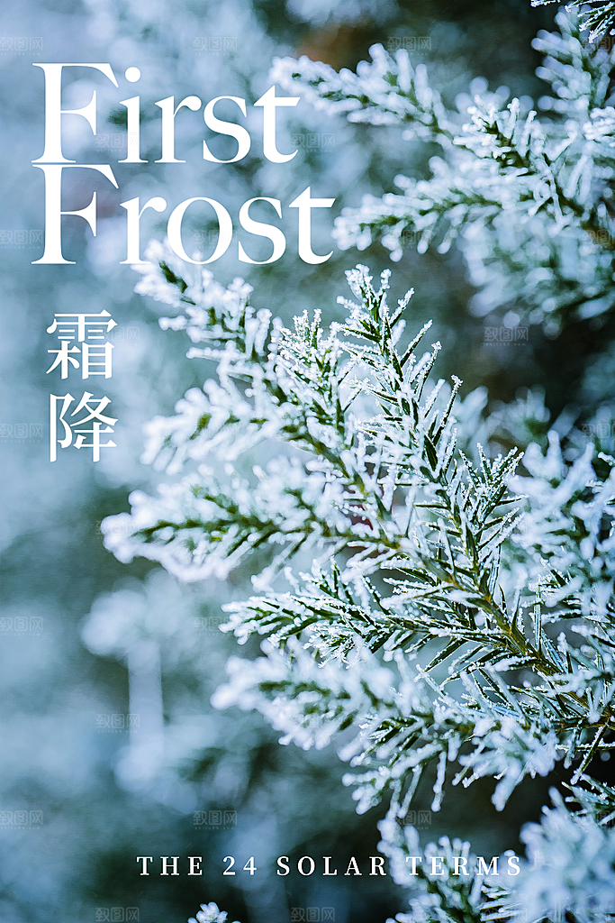霜降节气简约大气海报