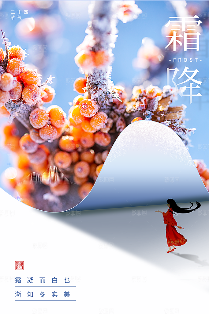 霜降节气简约大气海报