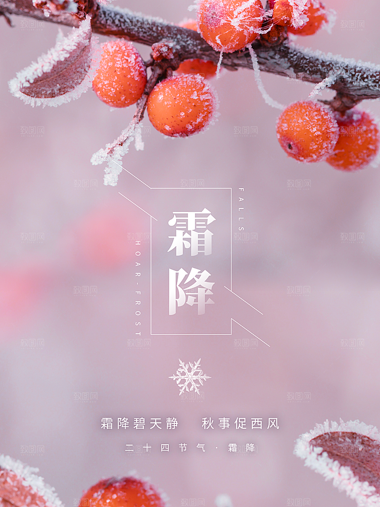 霜降节气简约大气海报