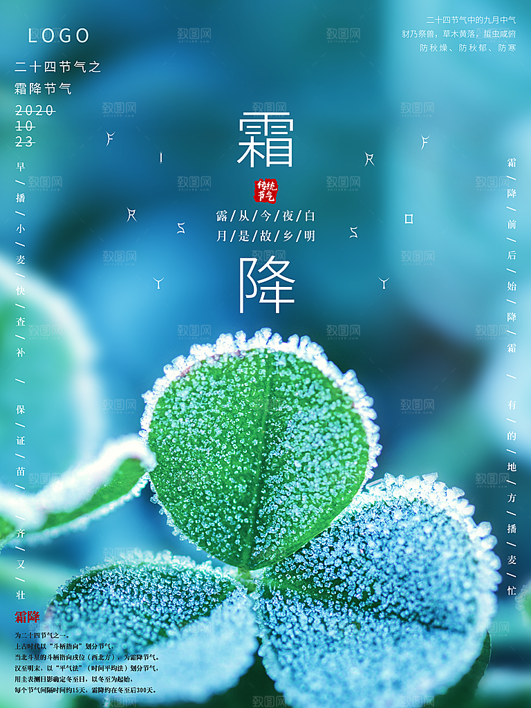 霜降节气简约大气海报