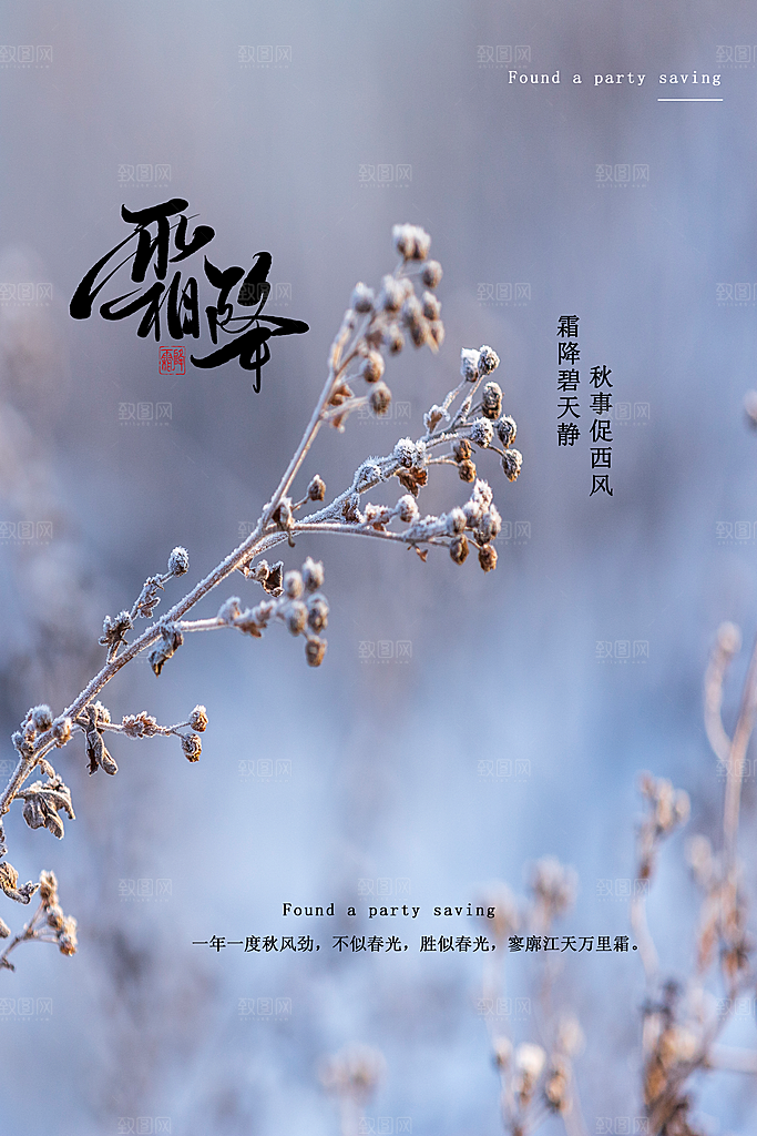 霜降节气简约大气海报