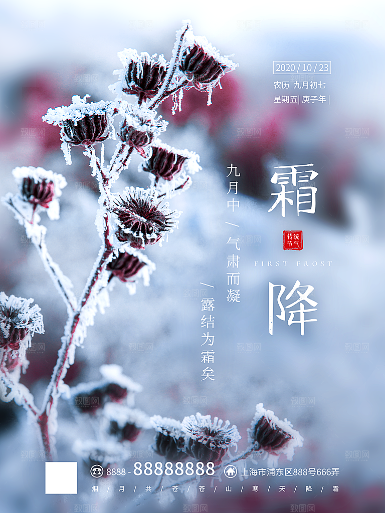 霜降节气简约大气海报