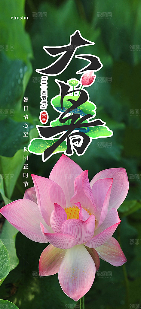 清新夏日二十四节气大暑炎热节气海报
