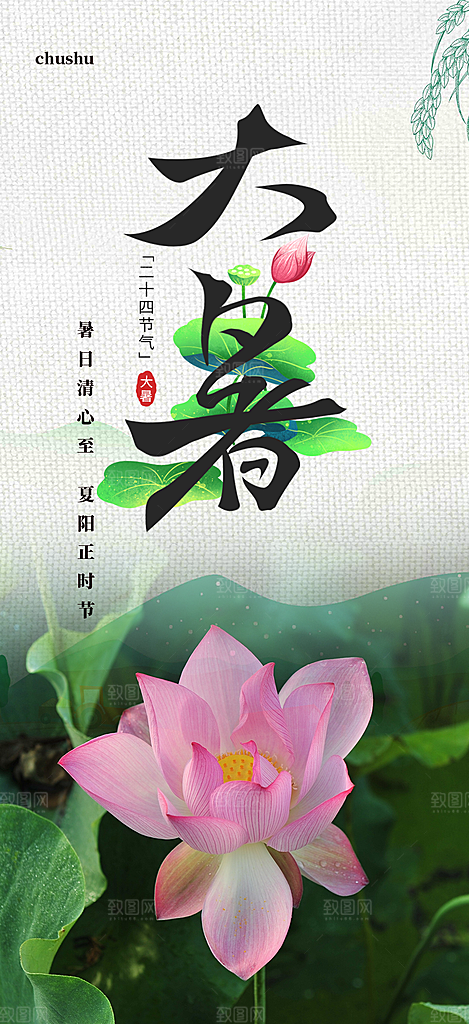 清新夏日二十四节气大暑炎热节气海报