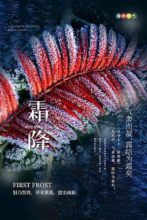 霜降节气简约大气海报