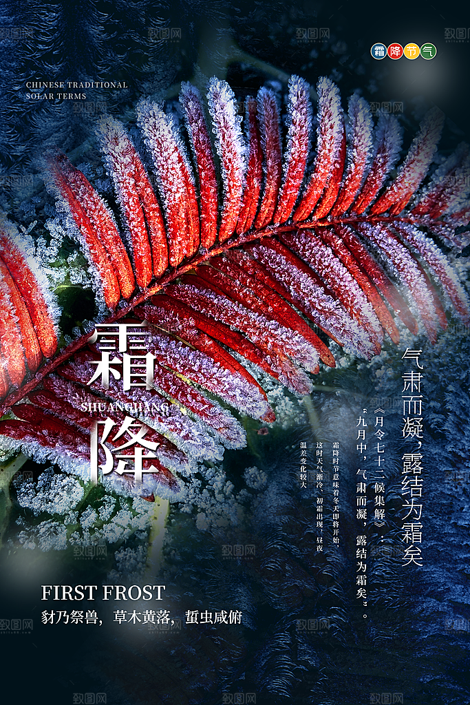 霜降节气简约大气海报