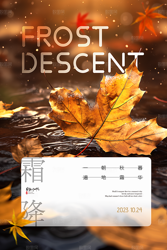 霜降节气简约大气海报