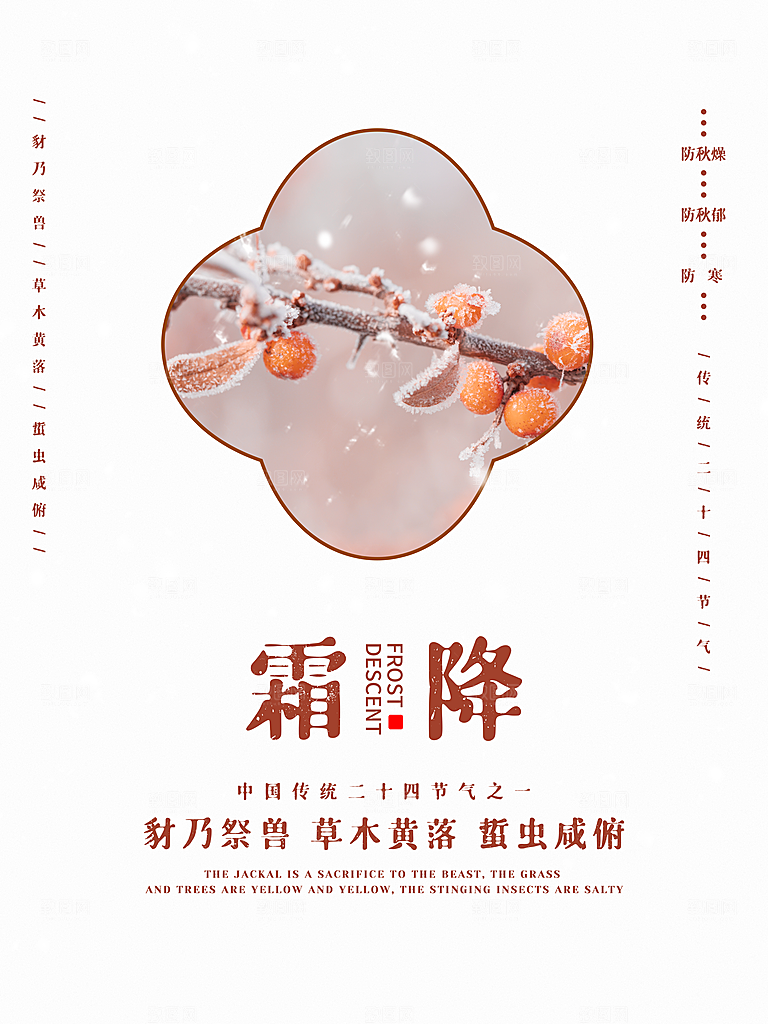 霜降节气简约大气海报
