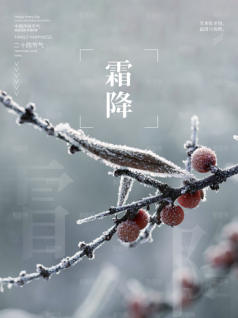 霜降节气简约大气海报
