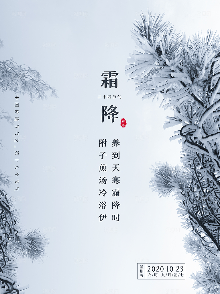 霜降节气简约大气海报