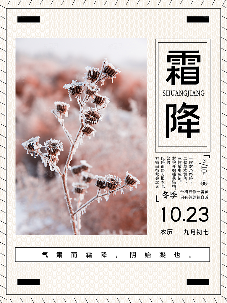 霜降节气简约大气海报