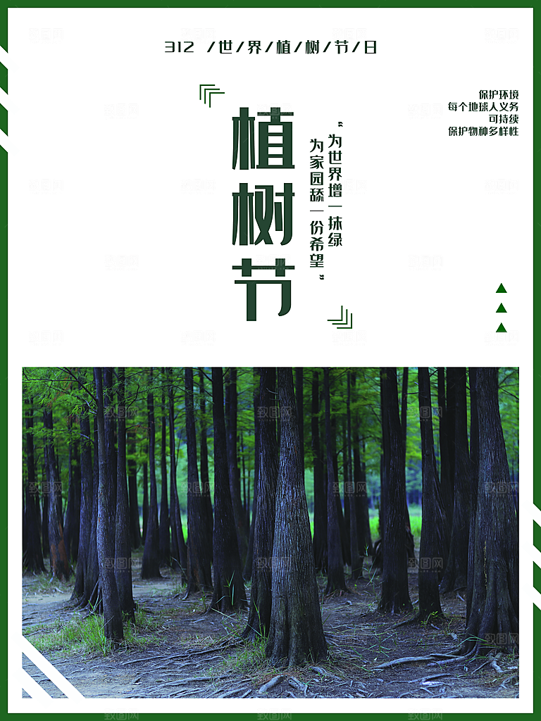 312植树节保护森林