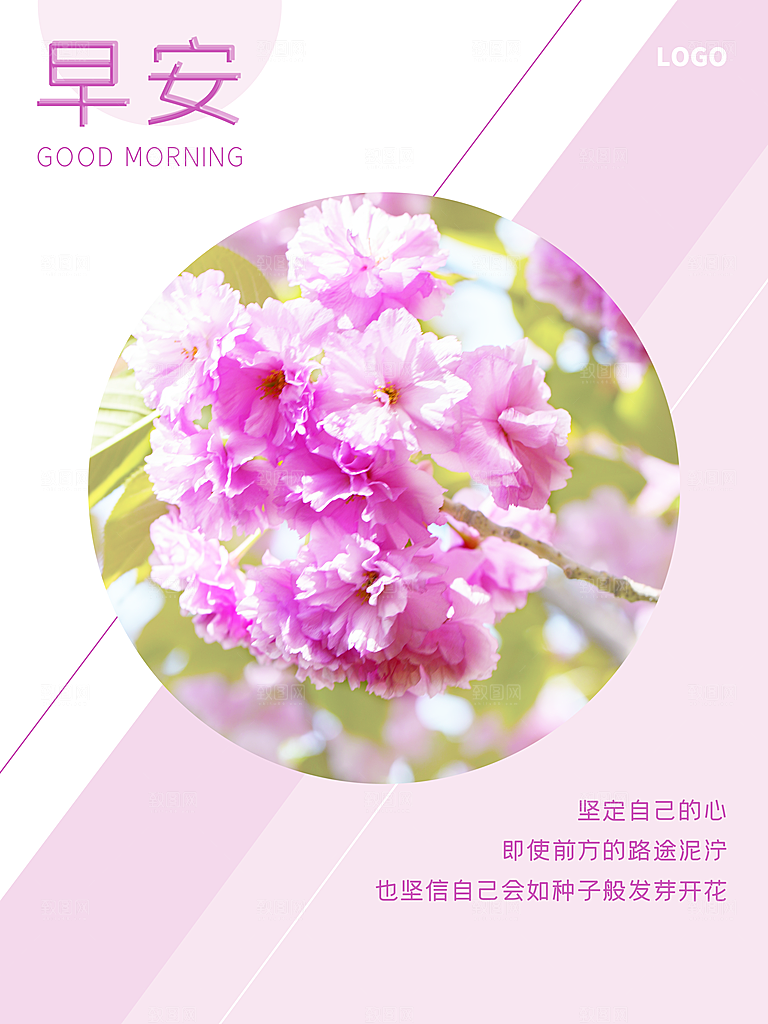 早安梦想每日一签