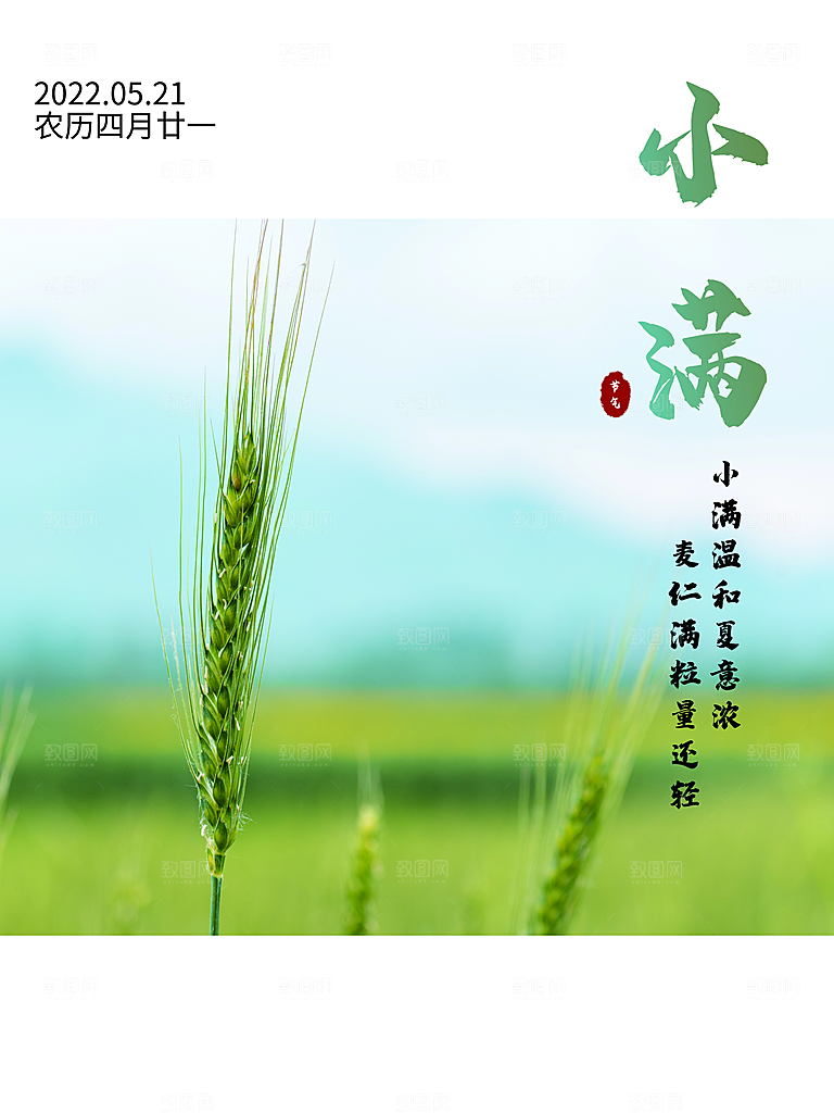 传统二十四节气小满