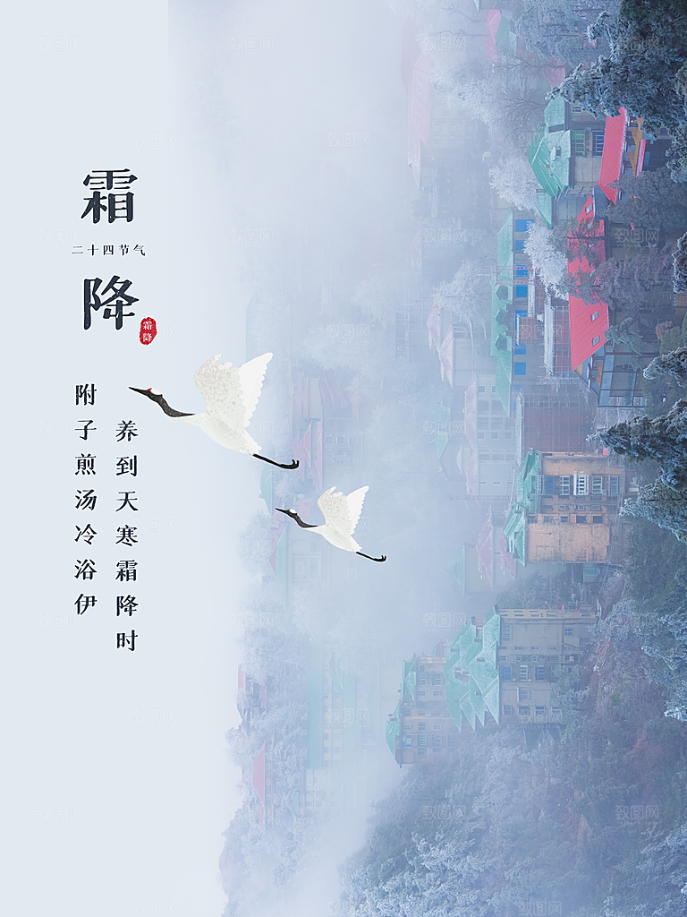 霜降节气简约大气海报