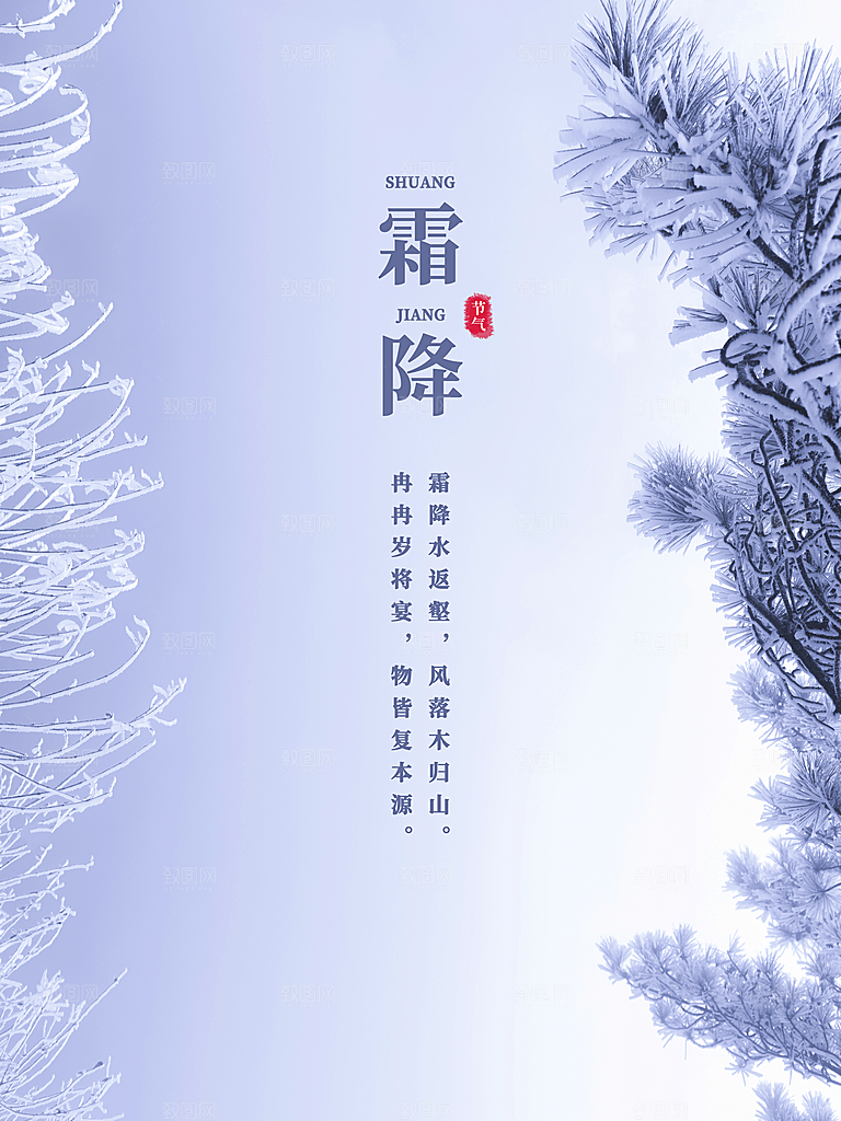 霜降节气简约大气海报