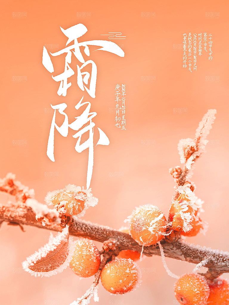 霜降节气简约大气海报