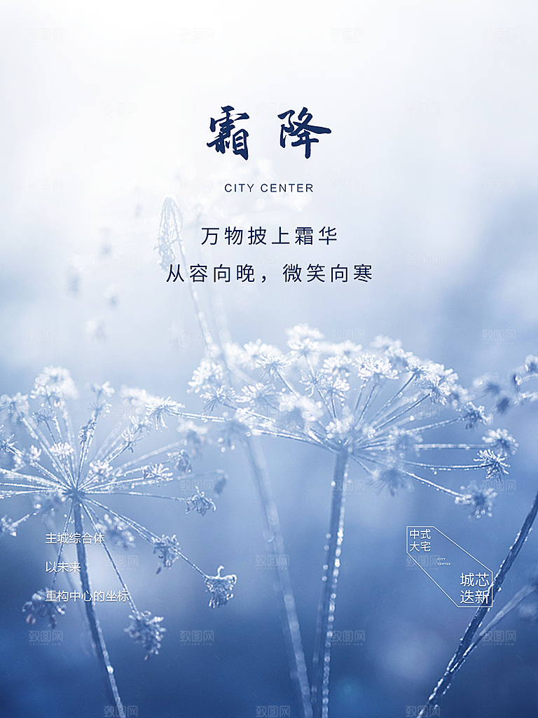 霜降节气简约大气海报