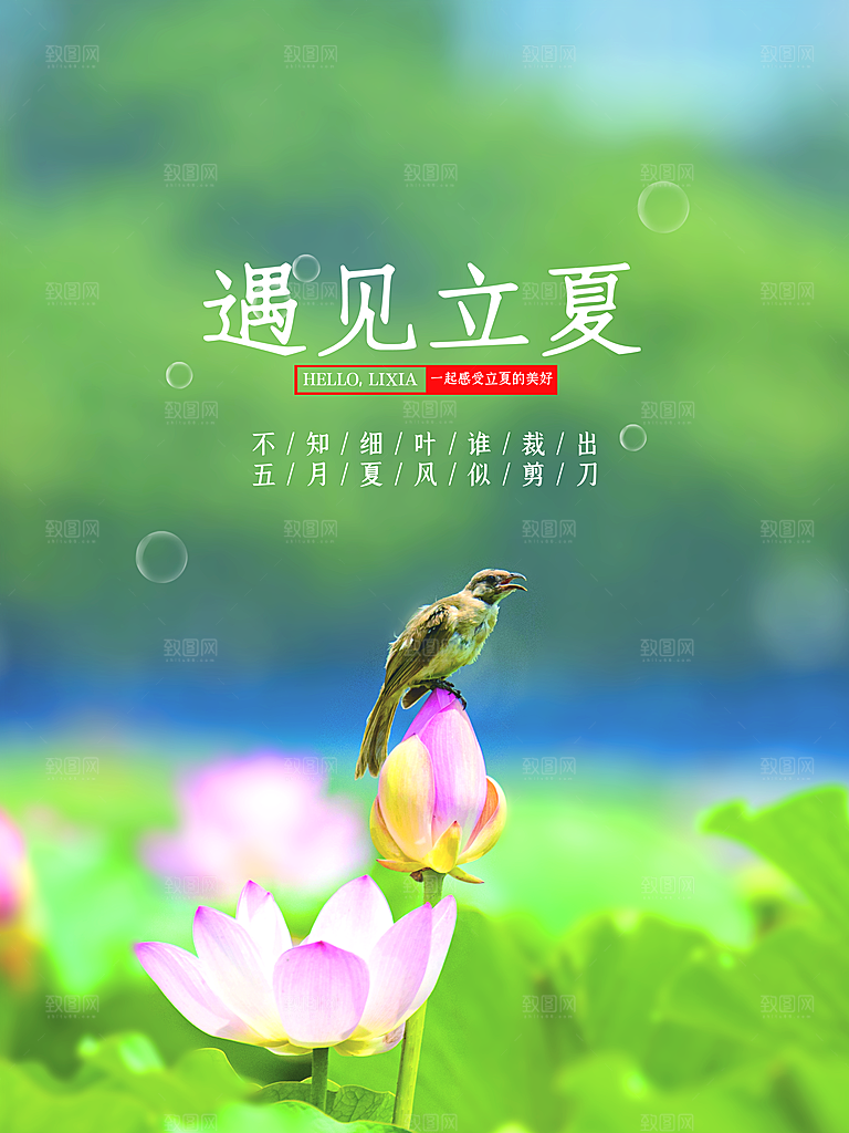 二十四节气遇见立夏