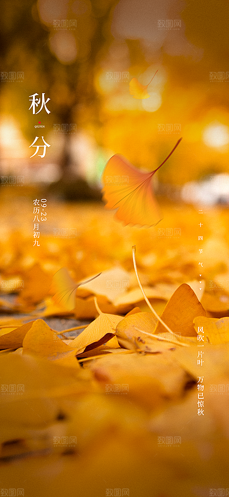 传统节气秋分海报模版