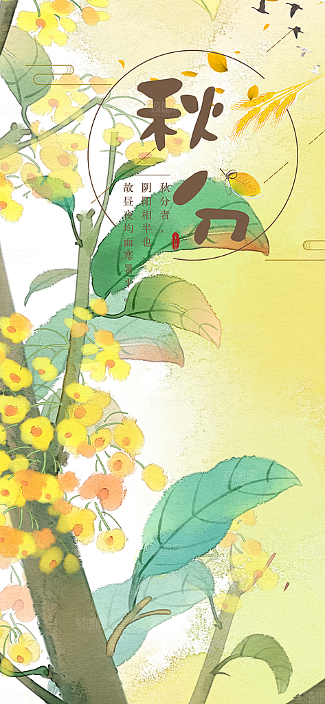 秋分节气简约大气海报