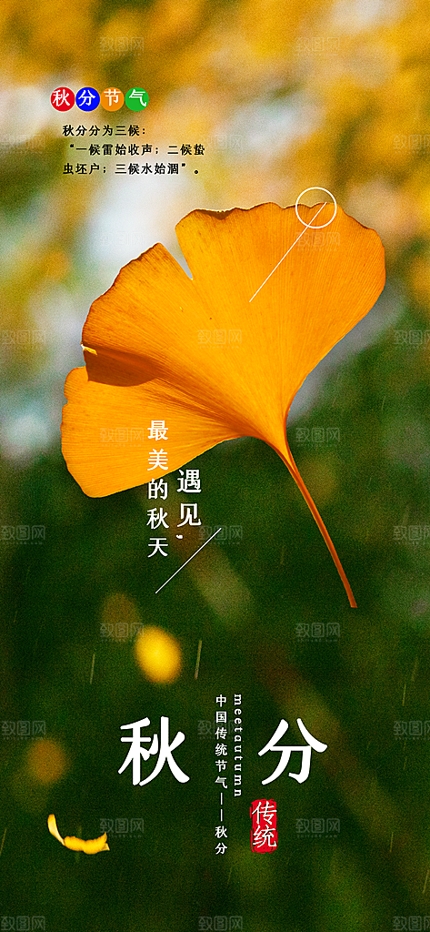 秋分节气简约大气海报