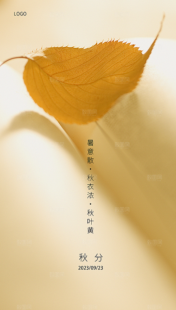 秋分节气简约大气海报