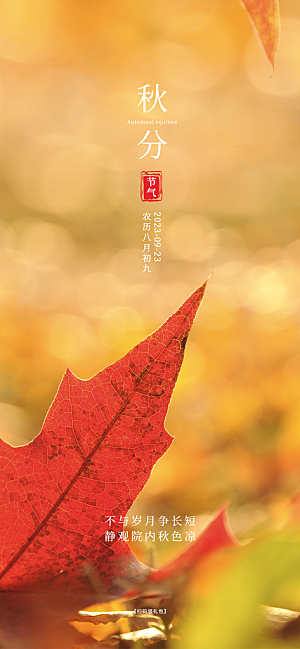 秋分节气简约大气海报