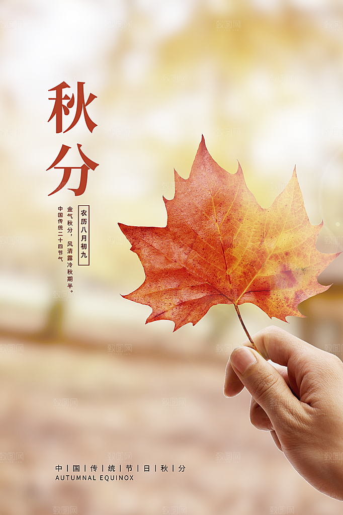 秋分节气简约大气海报