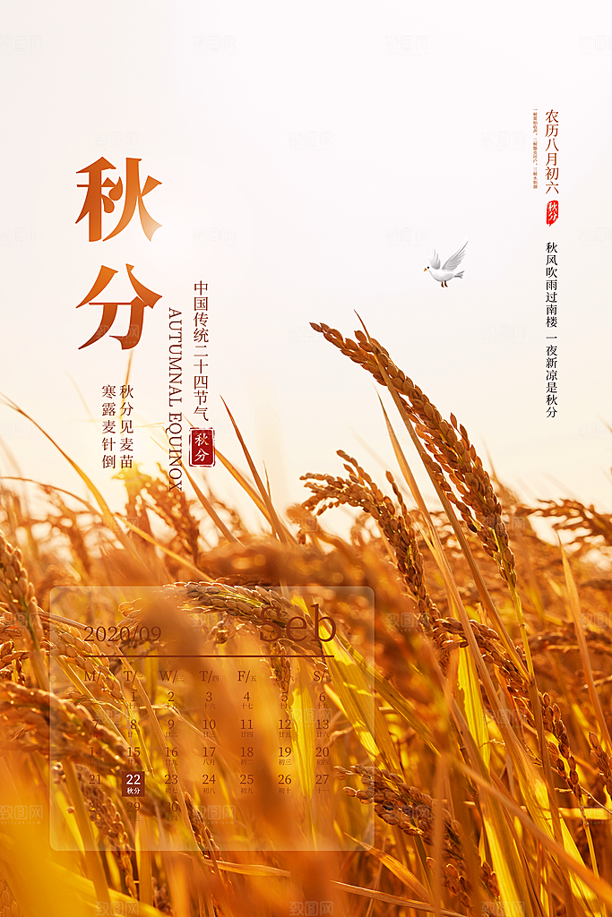 传统节气秋分海报模版