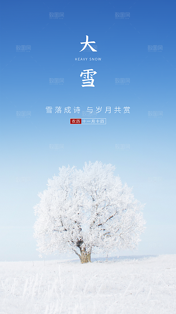 大雪节气简约大气海报