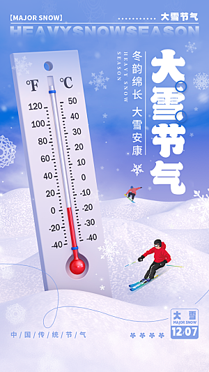 大雪节气简约大气海报