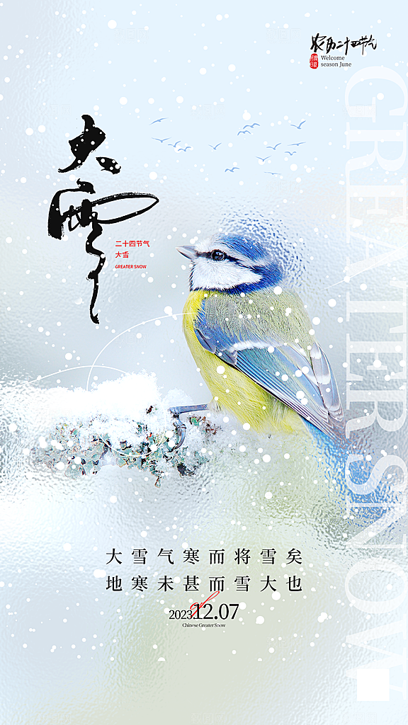 大雪节气简约大气海报