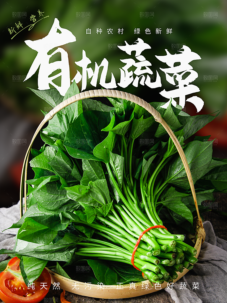 有机蔬菜宣传海报