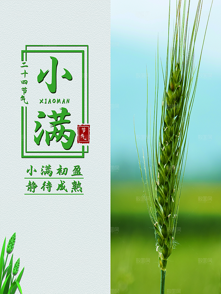 传统二十四节气小满