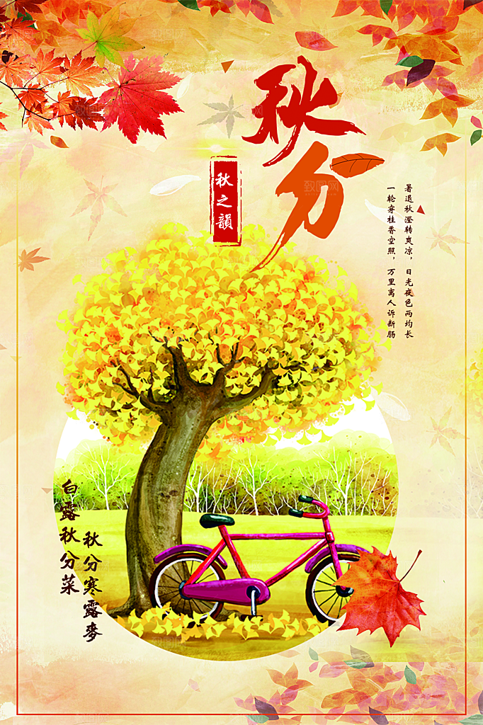 秋分节气简约大气海报