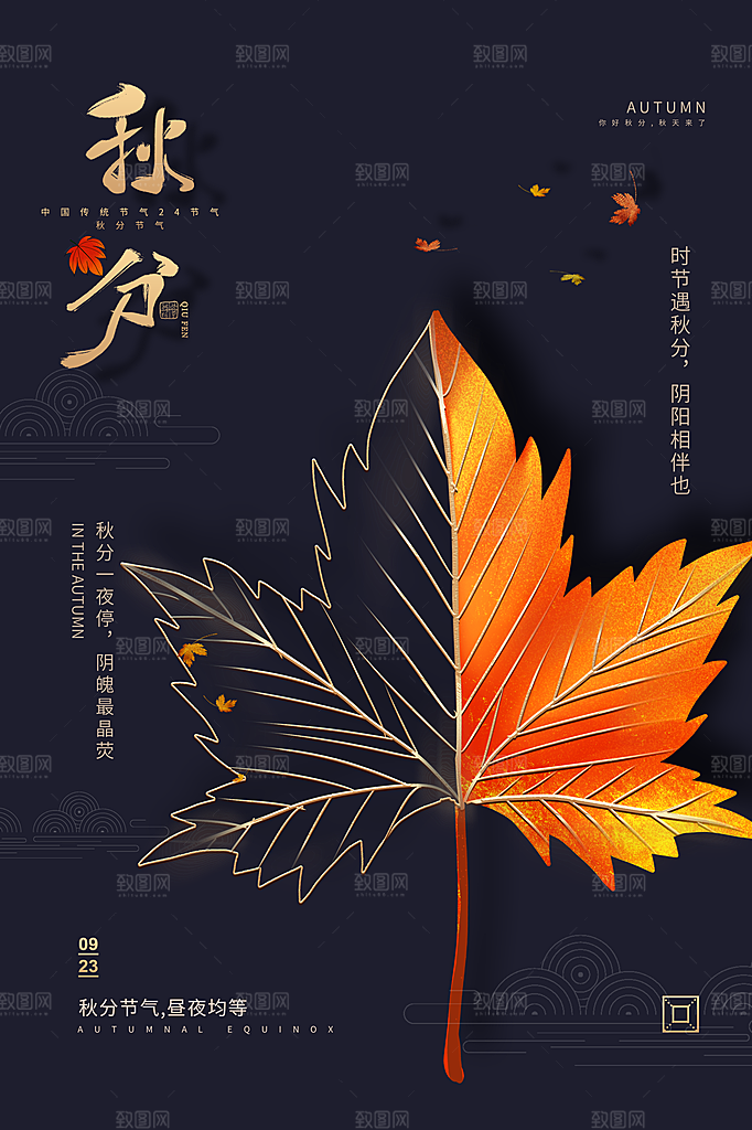 秋分节气简约大气海报