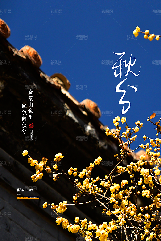 秋分节气简约大气海报