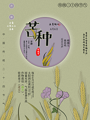 传统二十四节气芒种