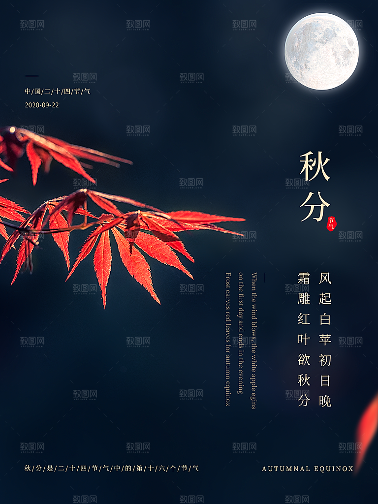 秋分节气简约大气海报