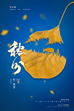 秋分节气简约大气海报