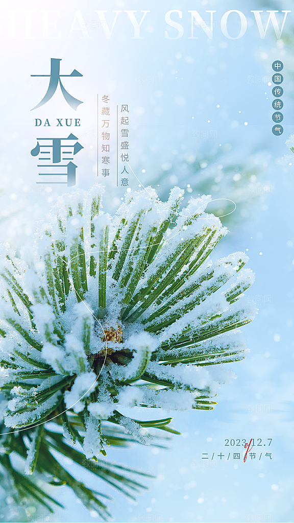 大雪节气简约大气海报
